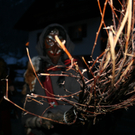 IMG_6396.JPG