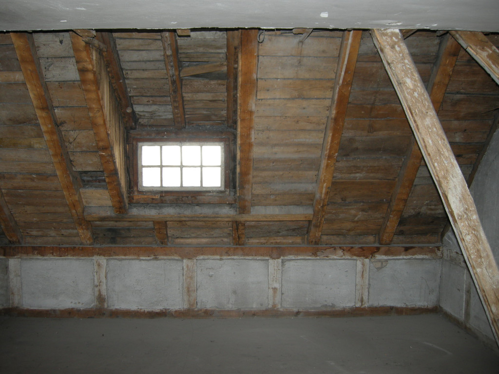 DSCN3481_JPG-1299341772