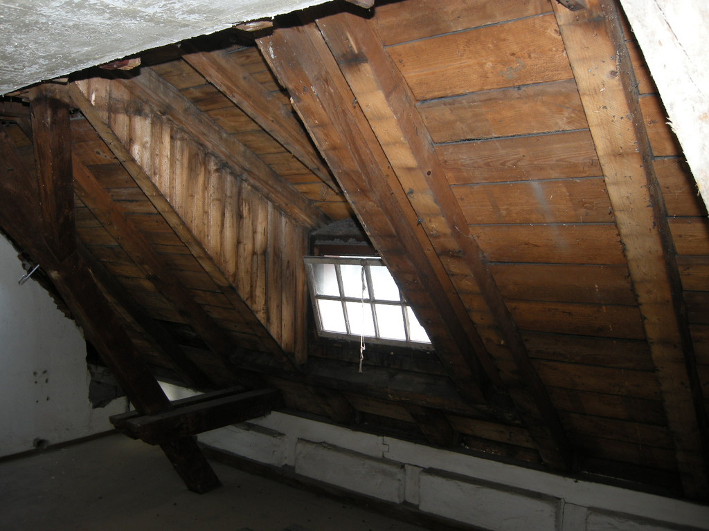 DSCN3490_JPG-1299341811