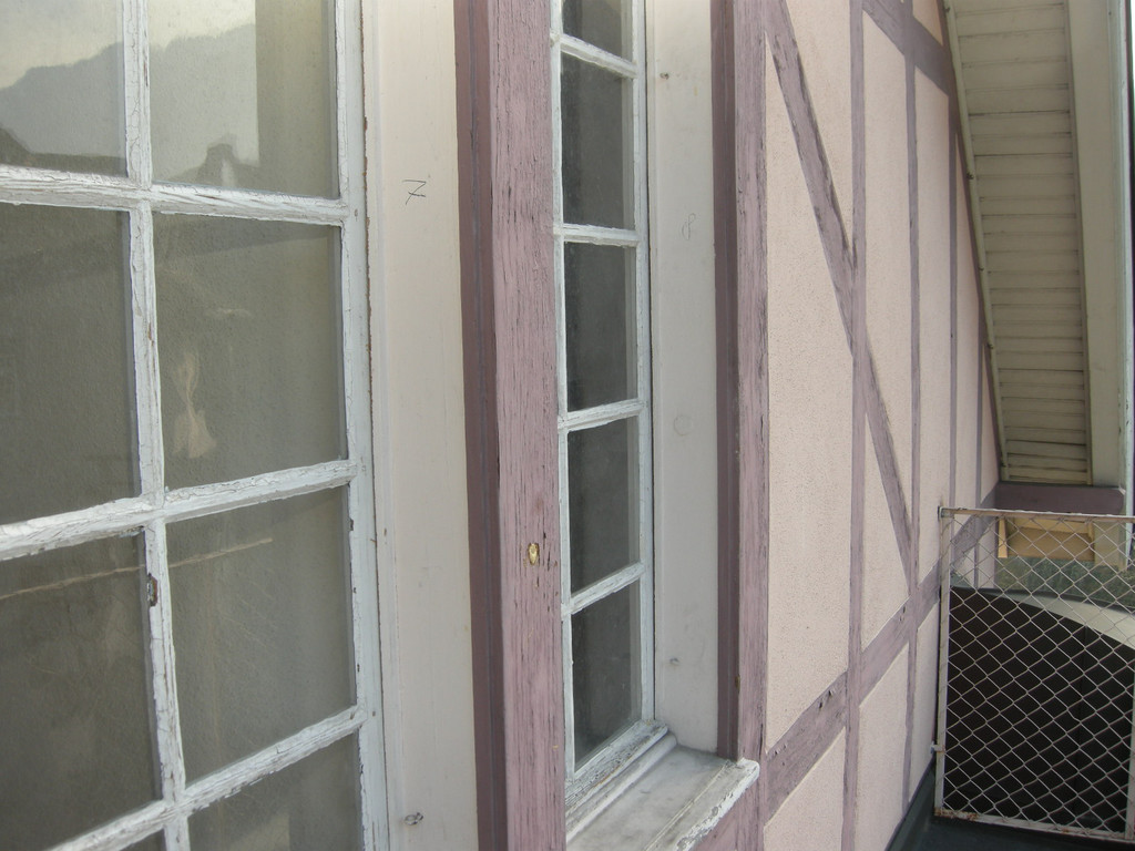 DSCN3491_JPG-1299341821