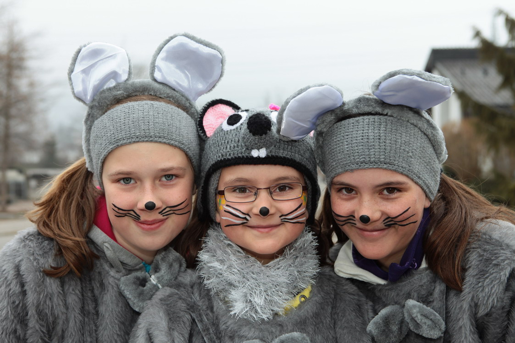 Fasching B__rs 01.JPG