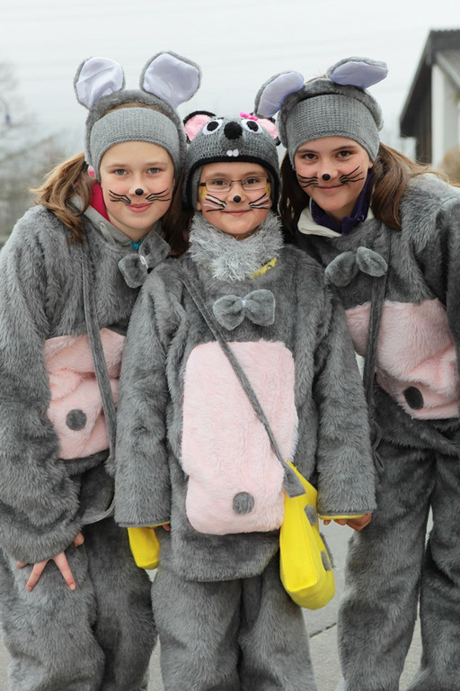 Fasching B__rs 02.JPG