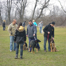 IMGP0622klein.jpg