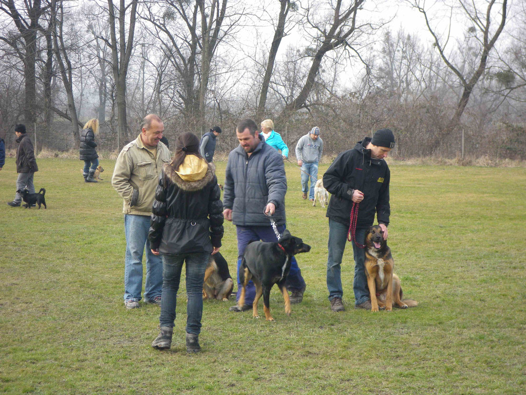 IMGP0622klein.jpg