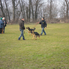 IMGP0624klein.jpg