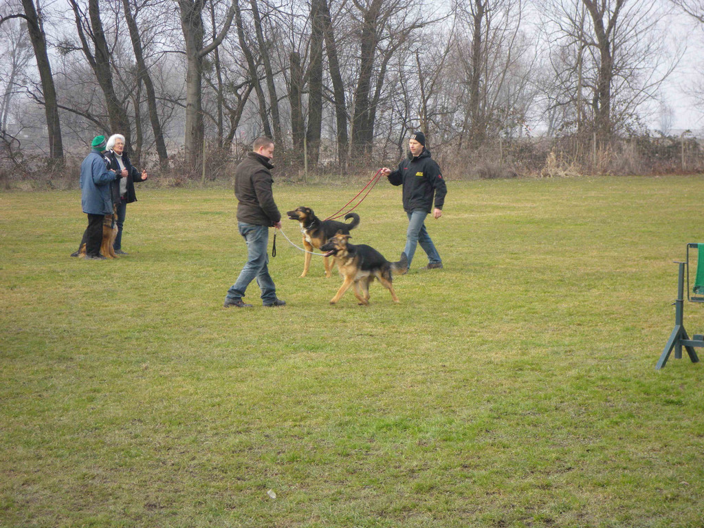 IMGP0624klein.jpg