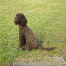 IMGP0631klein.jpg