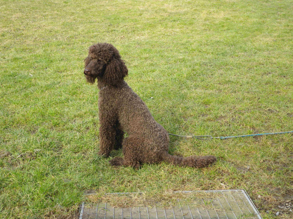 IMGP0631klein.jpg