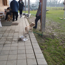 IMGP0641klein.jpg