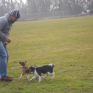 IMGP0672klein.jpg