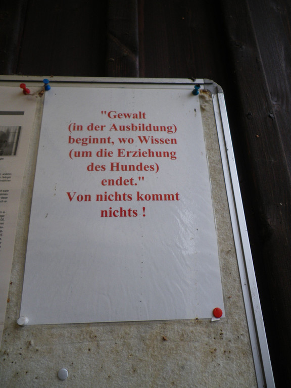 IMGP0590klein.jpg