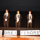 Vereineball 2011 _149_ - Kopie.JPG