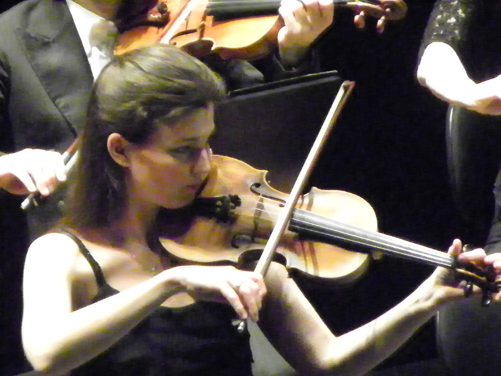 109_5631_JPG-1299367707