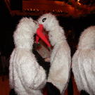 IMG_2043.JPG