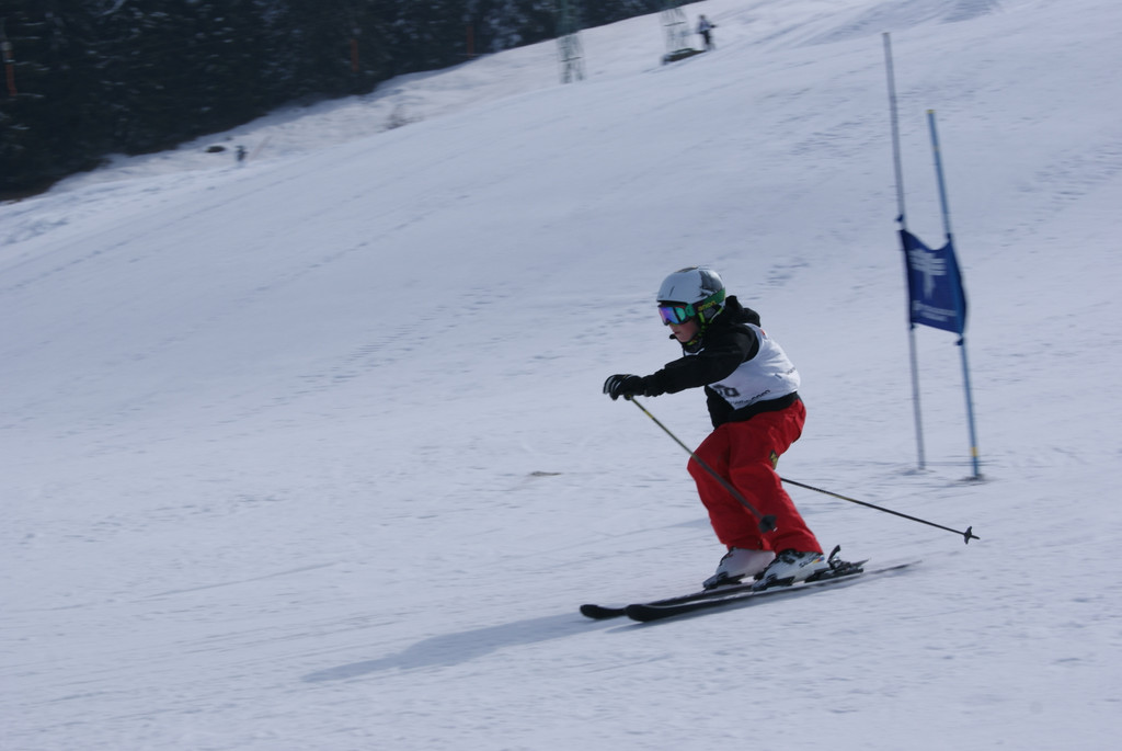 DSC02245_JPG-1299399451