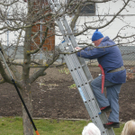 Baum 020_jpg-1299400076