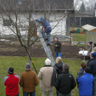 Baum 021_jpg-1299400089