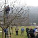 Baum 025_jpg-1299400112
