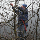 Baum 027_jpg-1299400123