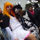 P1010004_JPG-1299411613