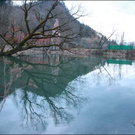 BK_kroetenwanderung2_jpg-1299422445