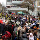 Faschingsumzug 2011 in Bregenz