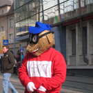 Faschingsumzug Bludenz