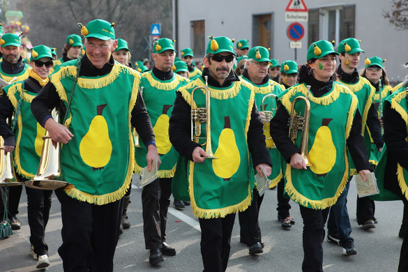 Bludenzer Umzug 54.JPG