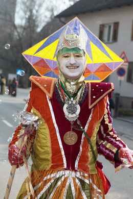 Bludenzer Umzug 57.JPG