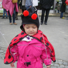 Umzug 11 035.JPG