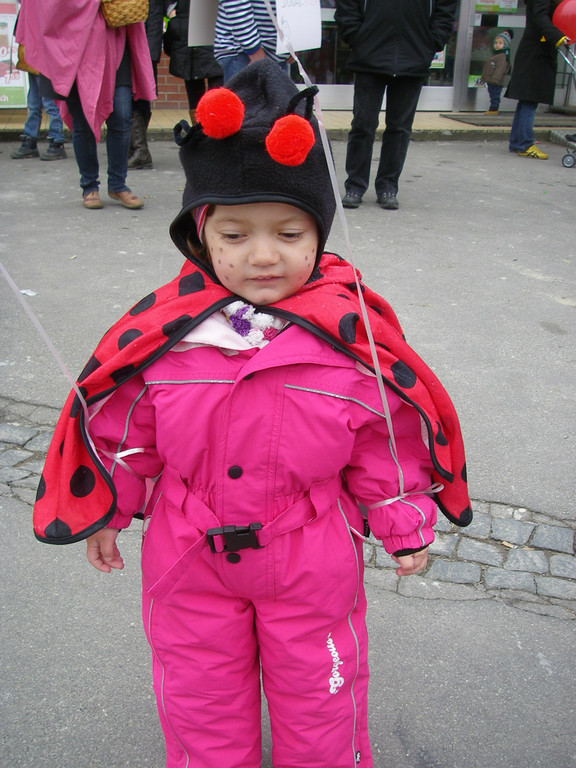 Umzug 11 035.JPG