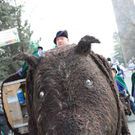 Bludenzer Umzug 40.JPG