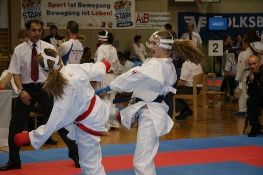 karate b_JPG-1299443358