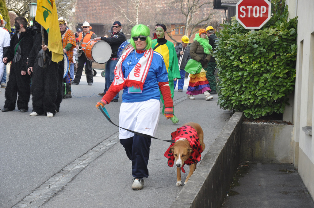 DSC_0138_JPG-1299445815