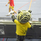 109_6130_JPG-1299453212