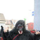 _MG_0009.JPG