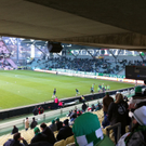 Leserreporter: Rapid-Fans streiken