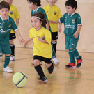 Halle Sonntag RW  011 140_jpg-1299488575