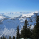 normal_05032011uebunggennersalzburgsberge_032.jpg