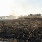 Schilfbrand in Fußach