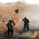 Erster Schilfbrand in Fußach seit Jahren