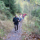 Nordic Walking