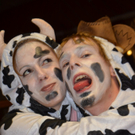 DSC_1260_JPG-1299562822.jpg