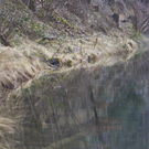Schwarzen See in Satteins
