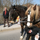 DSC00091.JPG