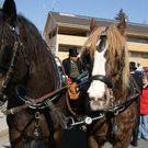 DSC00097.JPG