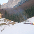 Summ17_jpg-1299577059