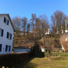 Wiesenbrand in Bregenz