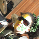 DSC_9680.jpg