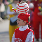 Schwarzacher Faschingsumzug 2011